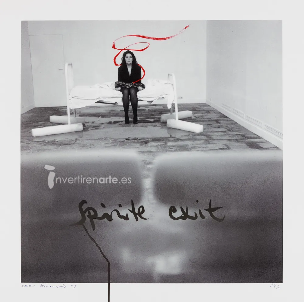 丝网印刷 Abramovic - Spirit exit