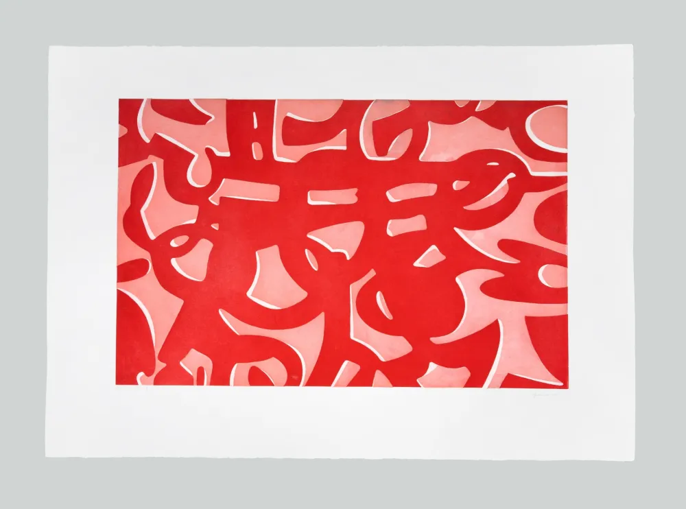 蚀刻飞尘法 Accardi - La ricerca del colore (F)