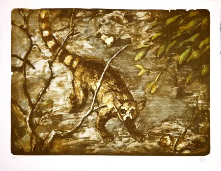 石版画 Aceves Humana - Cacomitle