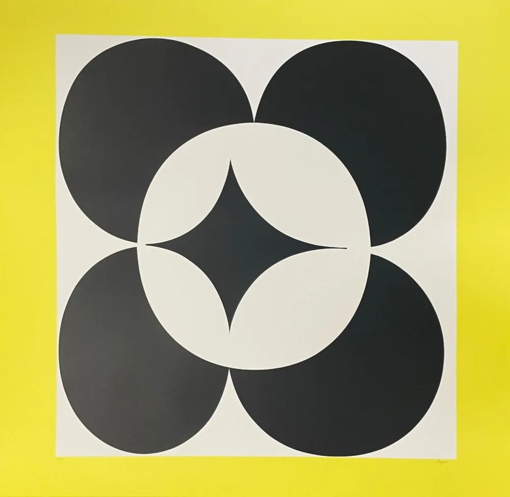 复数作品 Agam - Circles in Yellow