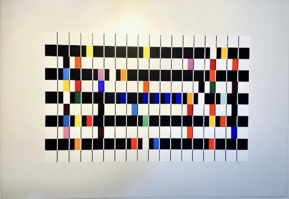 丝网印刷 Agam - One and another V