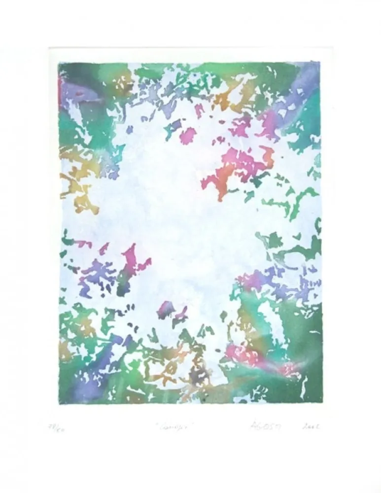 飞尘腐蚀法 Agosti - Canopée