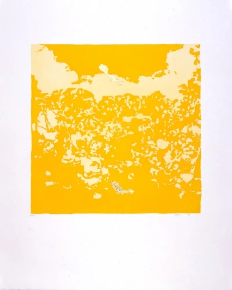 飞尘腐蚀法 Agosti - Orphée N°II