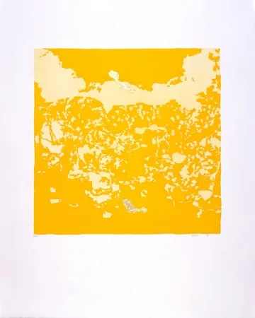 飞尘腐蚀法 Agosti - Orphée N°II