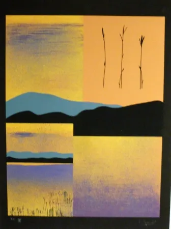 丝网印刷 Aguade - Analitica 1