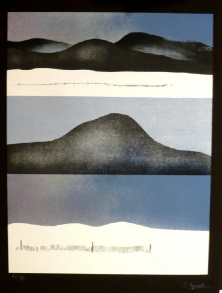 丝网印刷 Aguadé - Analitica 10