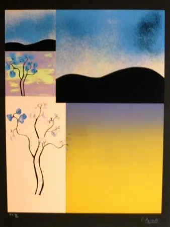 丝网印刷 Aguade - Analitica 2