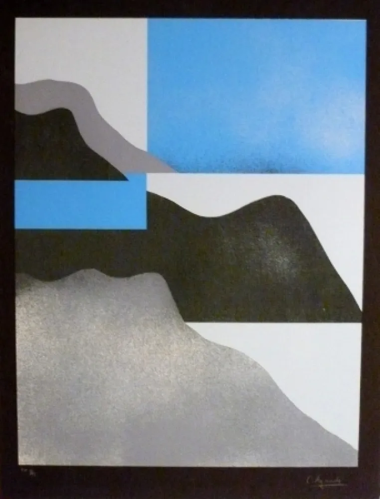 丝网印刷 Aguadé - Analitica 3