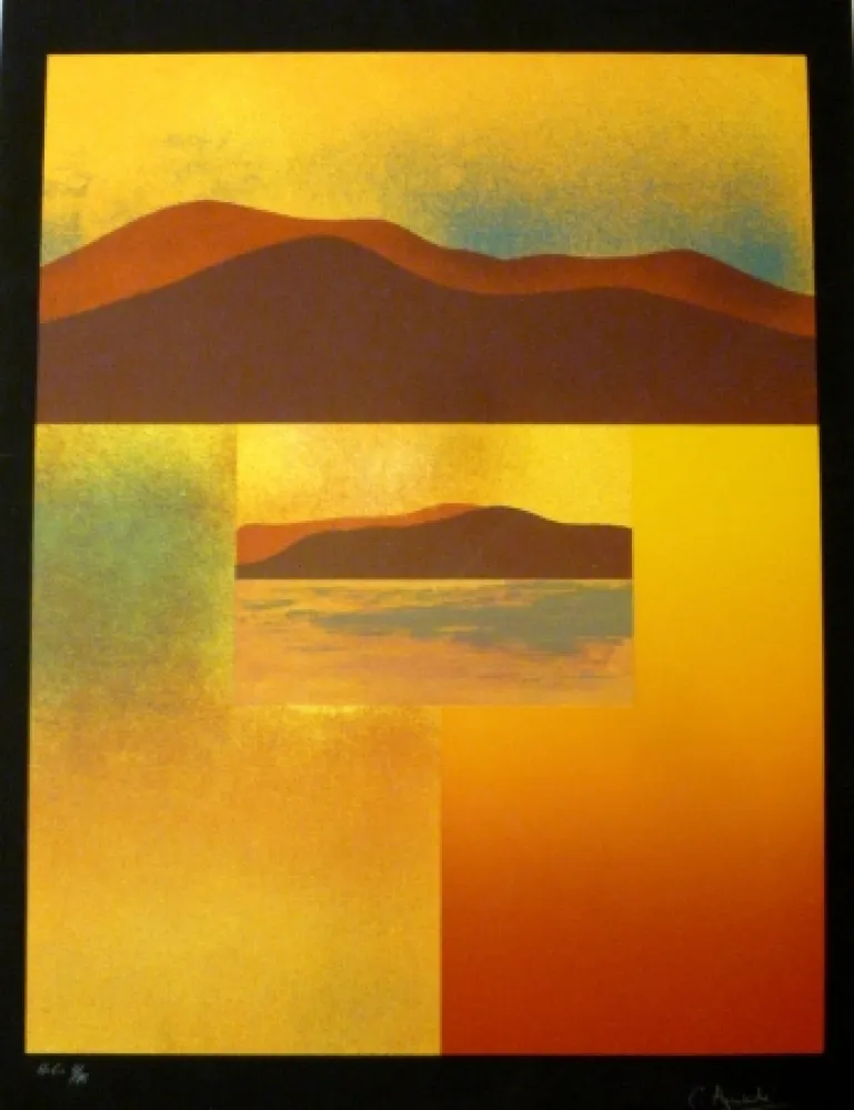 丝网印刷 Aguadé - Analitica 4