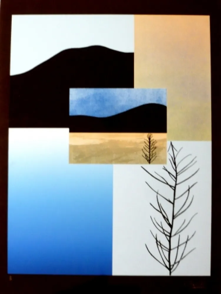 丝网印刷 Aguadé - Analitica 5