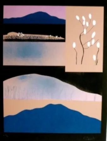 丝网印刷 Aguade - Analitica 6