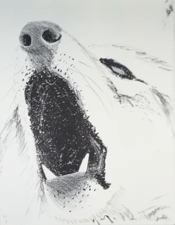 插图书 Aillaud - L'Encyclopédie de tous les animaux - Tome III