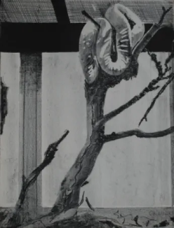 石版画 Aillaud - Serpent