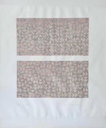 胶版印刷 Albers - Fox I 