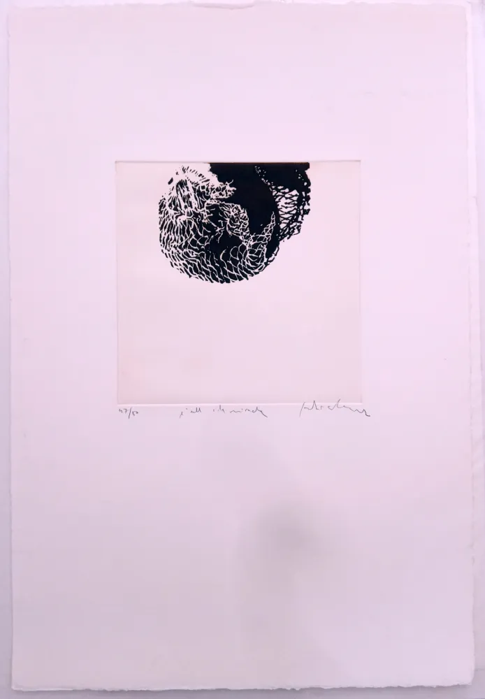 蚀刻版画 Alcaraz - L'ull i la mirada