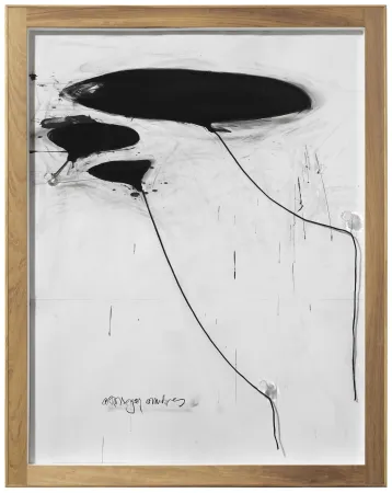 无技术 Alcaraz - Sin titulo