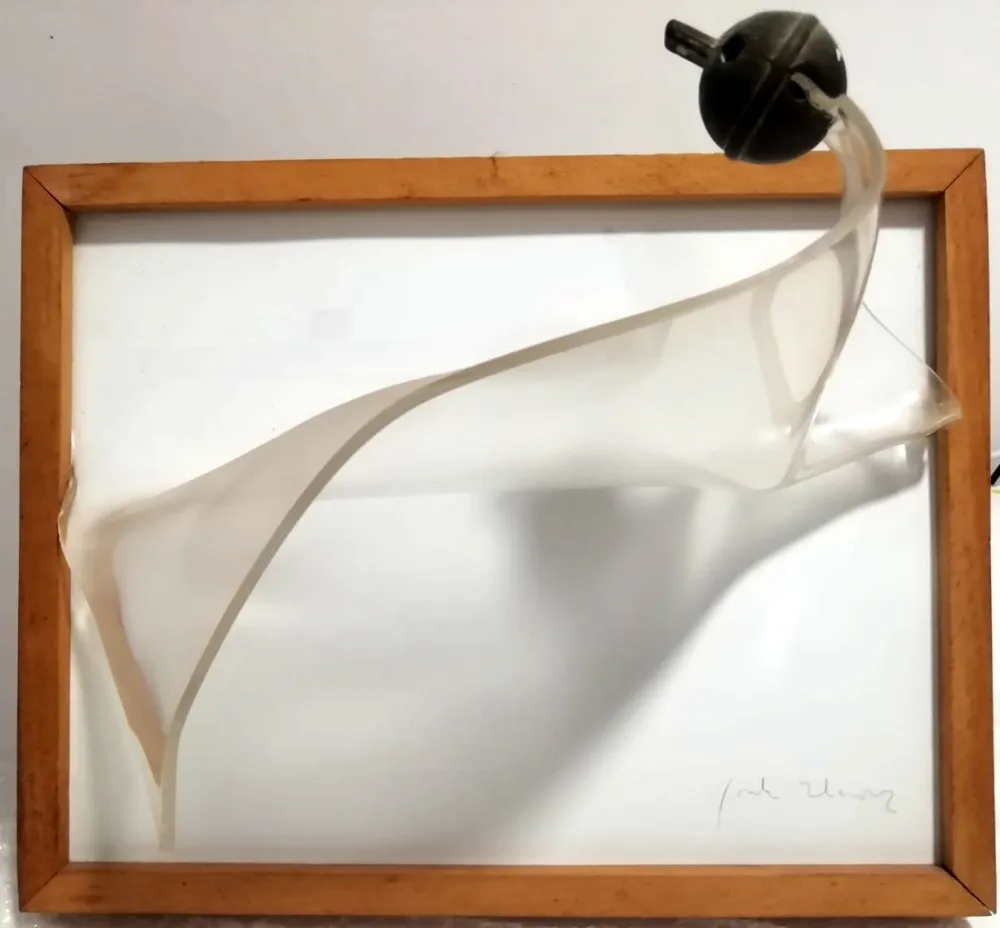 复数作品 Alcaraz - S/t