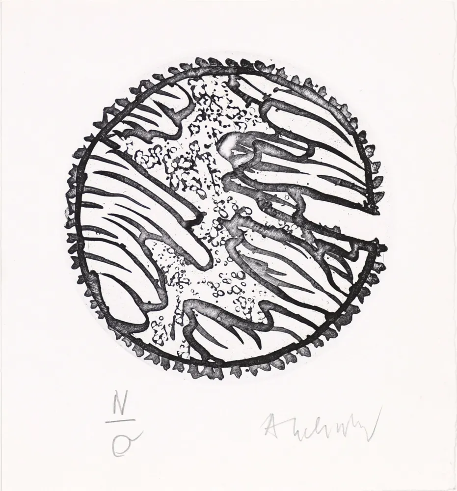 蚀刻飞尘法 Alechinsky - Chronique de la neige