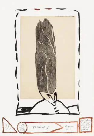 蚀刻版画 Alechinsky - Flore danoise 01 - Le magister