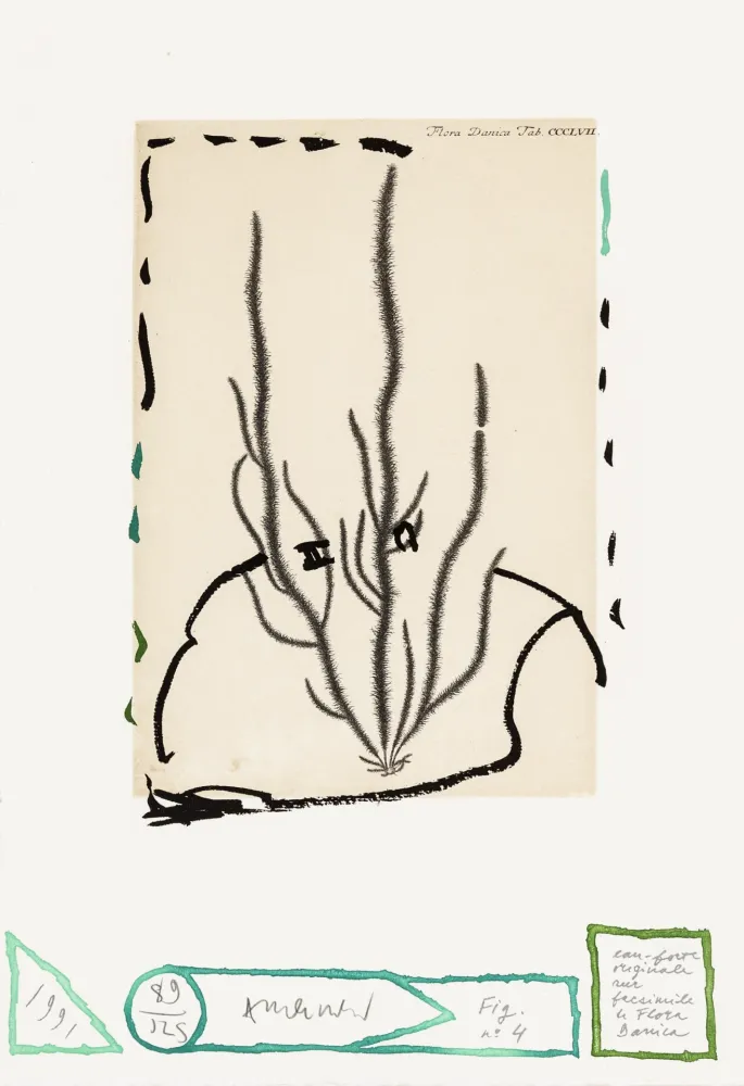 蚀刻版画 Alechinsky - Flore danoise 04 - Humus voltige