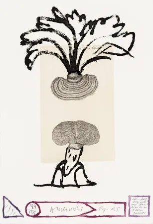 蚀刻版画 Alechinsky - Flore danoise 05 - Panaches