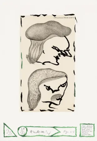 蚀刻版画 Alechinsky - Flore danoise 06 - Naissance des masques