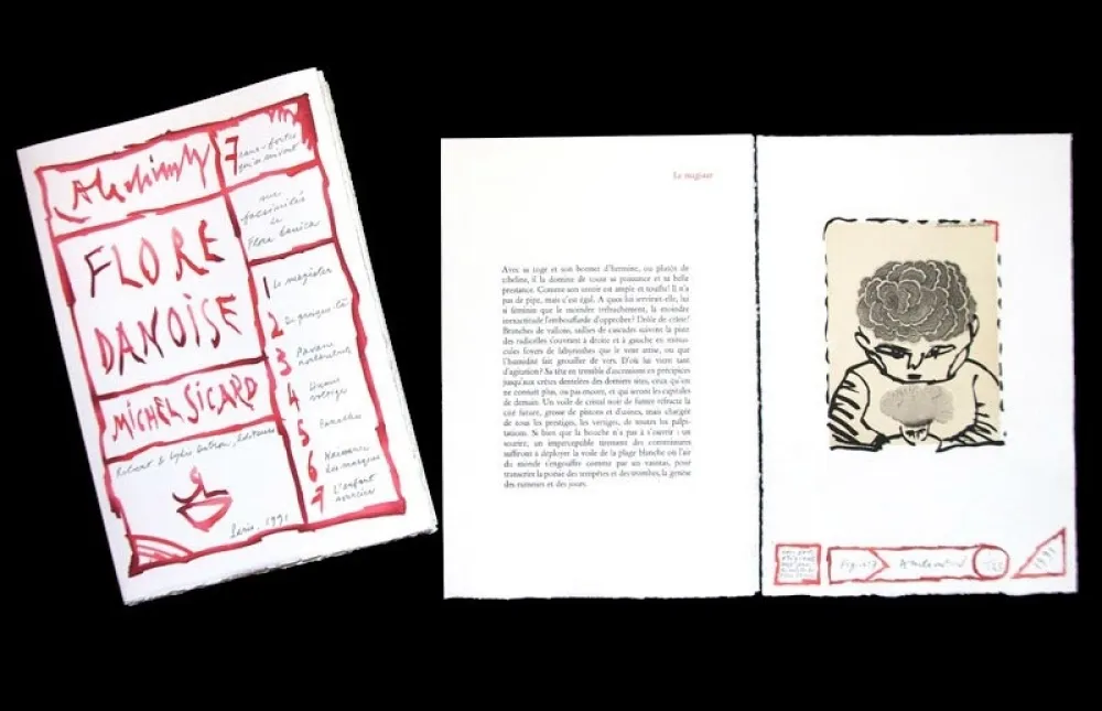 插图书 Alechinsky - FLORE DANOISE