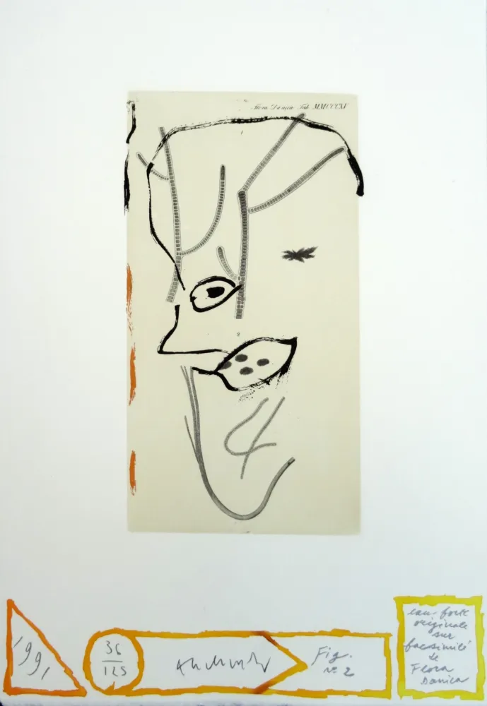 蚀刻版画 Alechinsky - Flore danoise : De presque-là