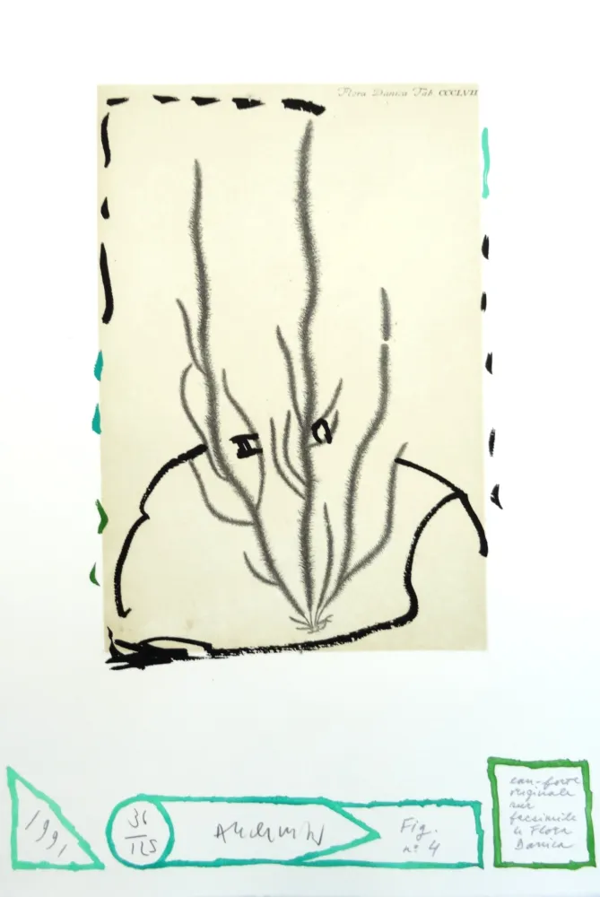 蚀刻版画 Alechinsky - Flore danoise : Humus voltige