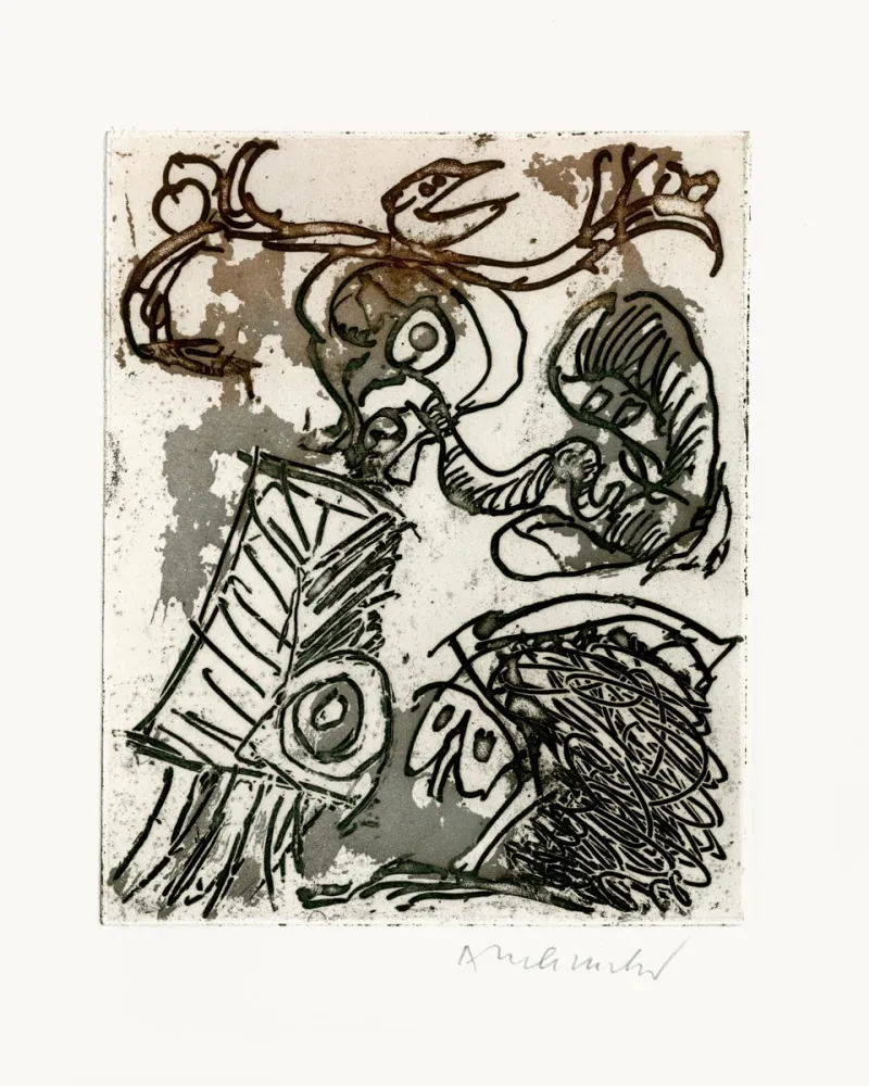 插图书 Alechinsky - L'espace d'un doute