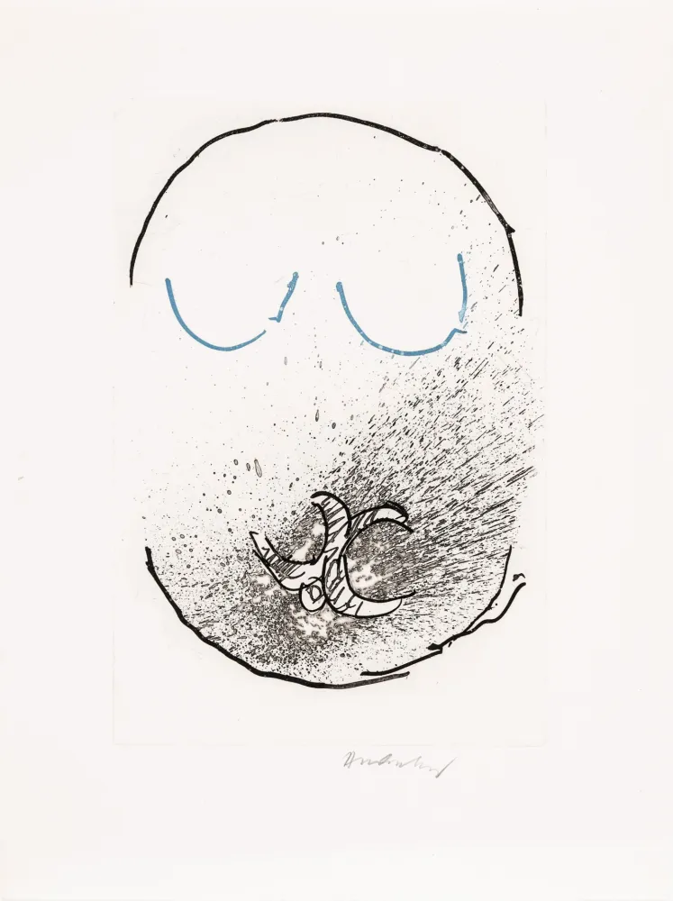 蚀刻飞尘法 Alechinsky - Pointes Planche IX bis