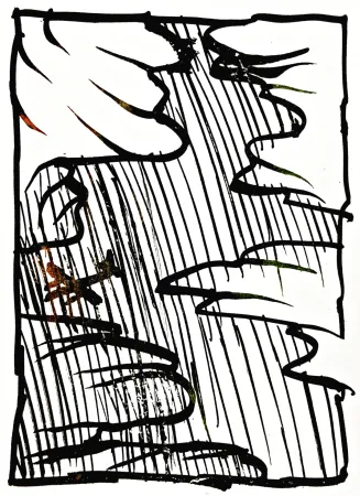 石版画 Alechinsky - Résumé