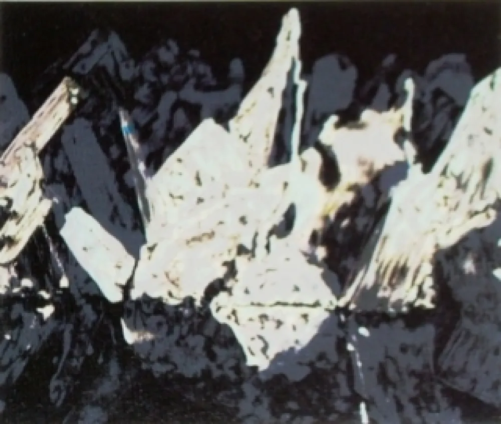 石版画 Alexander - Sans titre