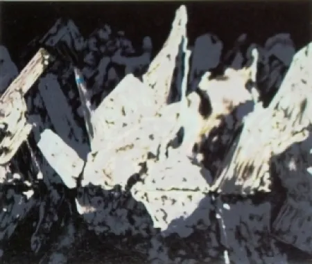 石版画 Alexander - Sans titre