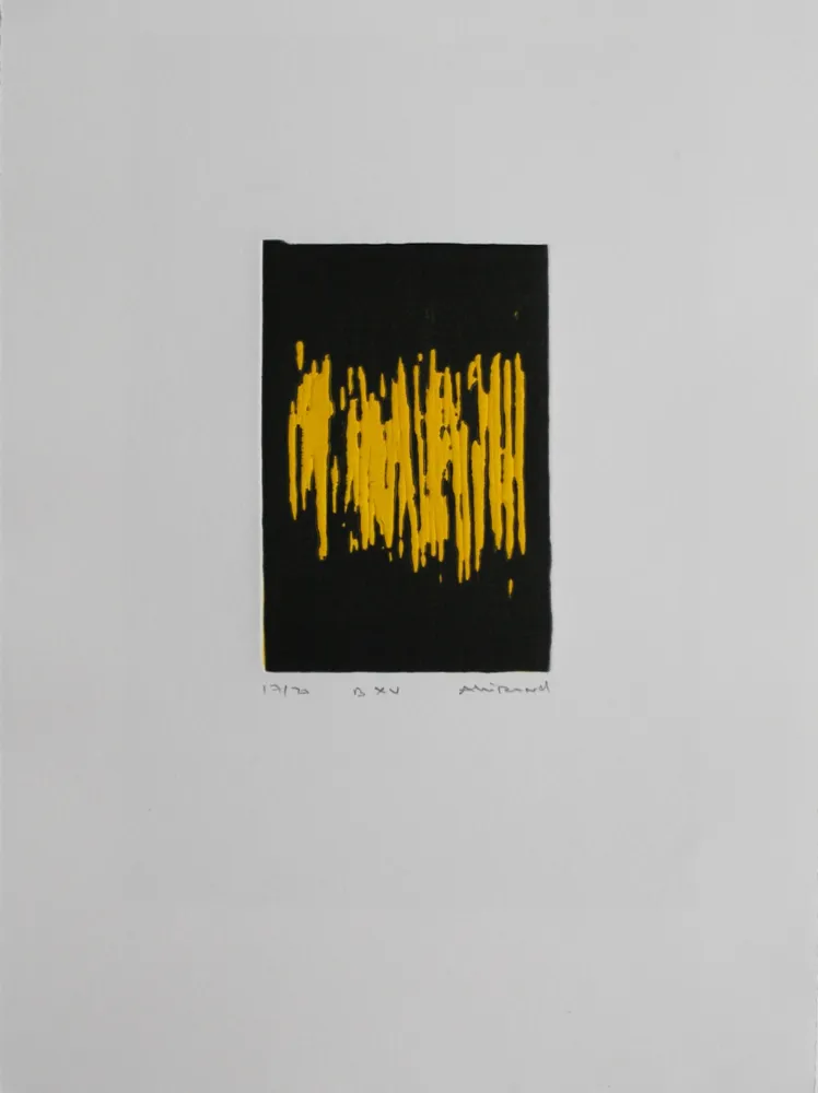 飞尘腐蚀法 Allirand - B XV