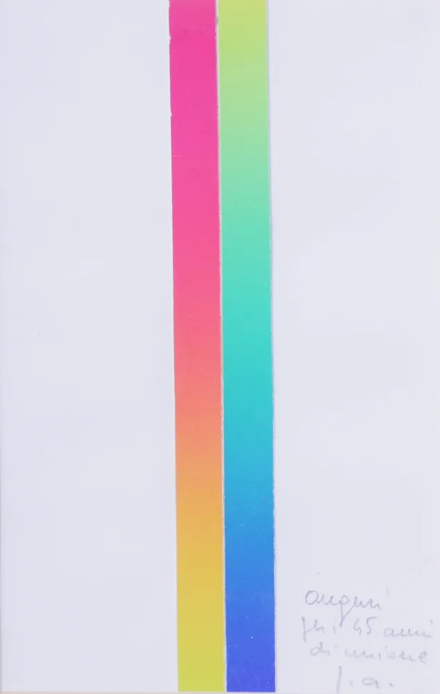 石版画 Alviani - CROMIE SPETTROLOGICHE