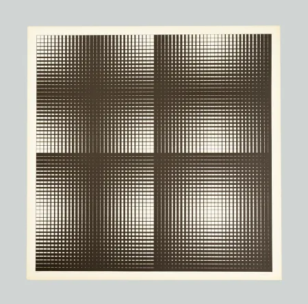 丝网印刷 Alviani - Programmazione grafica