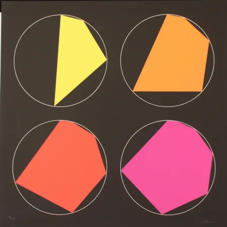 丝网印刷 Alviani - PROGRESSIVI ISCRITTI NEL CERCHIO