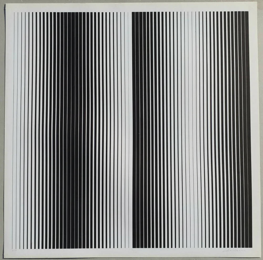 丝网印刷 Alviani - Senza titolo