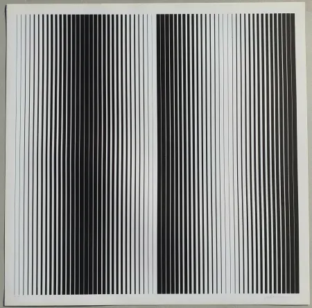 丝网印刷 Alviani - Senza titolo