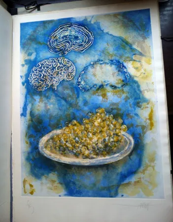 插图书 Amat - La Ventada del somni