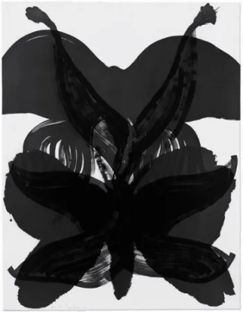 蚀刻版画 Amorales - Mod. 2