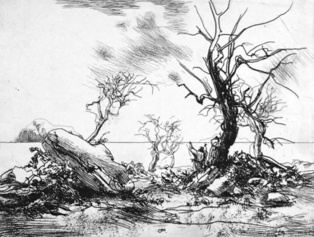 蚀刻版画 Annigoni - Paesaggio