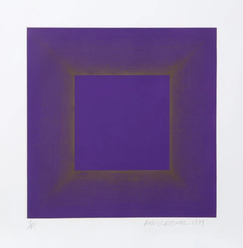 飞尘腐蚀法 Anuszkiewicz - Midnight Suite (Purple with Silver)
