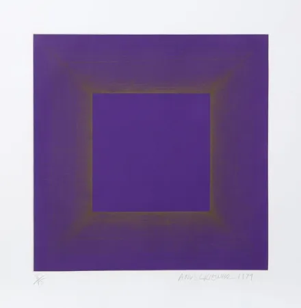 飞尘腐蚀法 Anuszkiewicz - Midnight Suite (Purple with Silver)