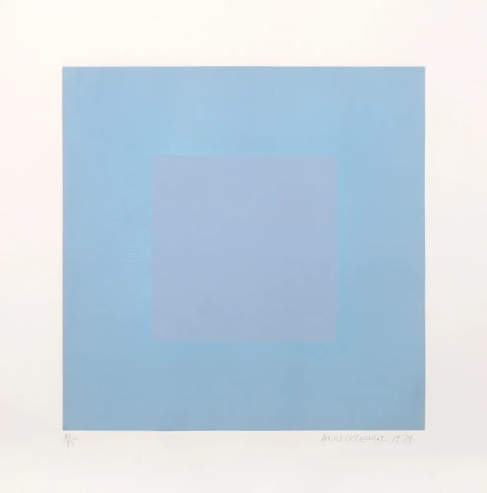 飞尘腐蚀法 Anuszkiewicz - Winter Suite (Light Blue with Light Blue)