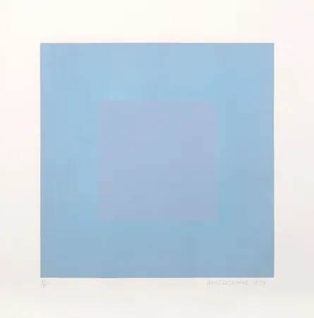 飞尘腐蚀法 Anuszkiewicz - Winter Suite (Light Blue with Light Blue)