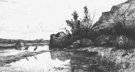 蚀刻版画 Appian - Marais de la Burbanche. (Ain)