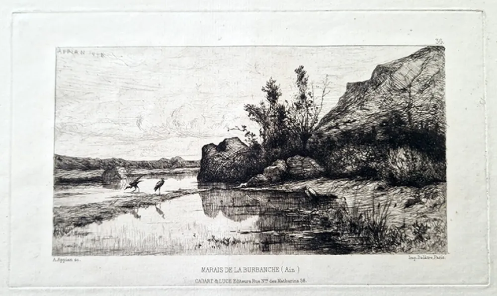 蚀刻版画 Appian - Marais de la Burbanche (Ain)