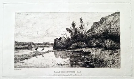 蚀刻版画 Appian - Marais de la Burbanche (Ain)
